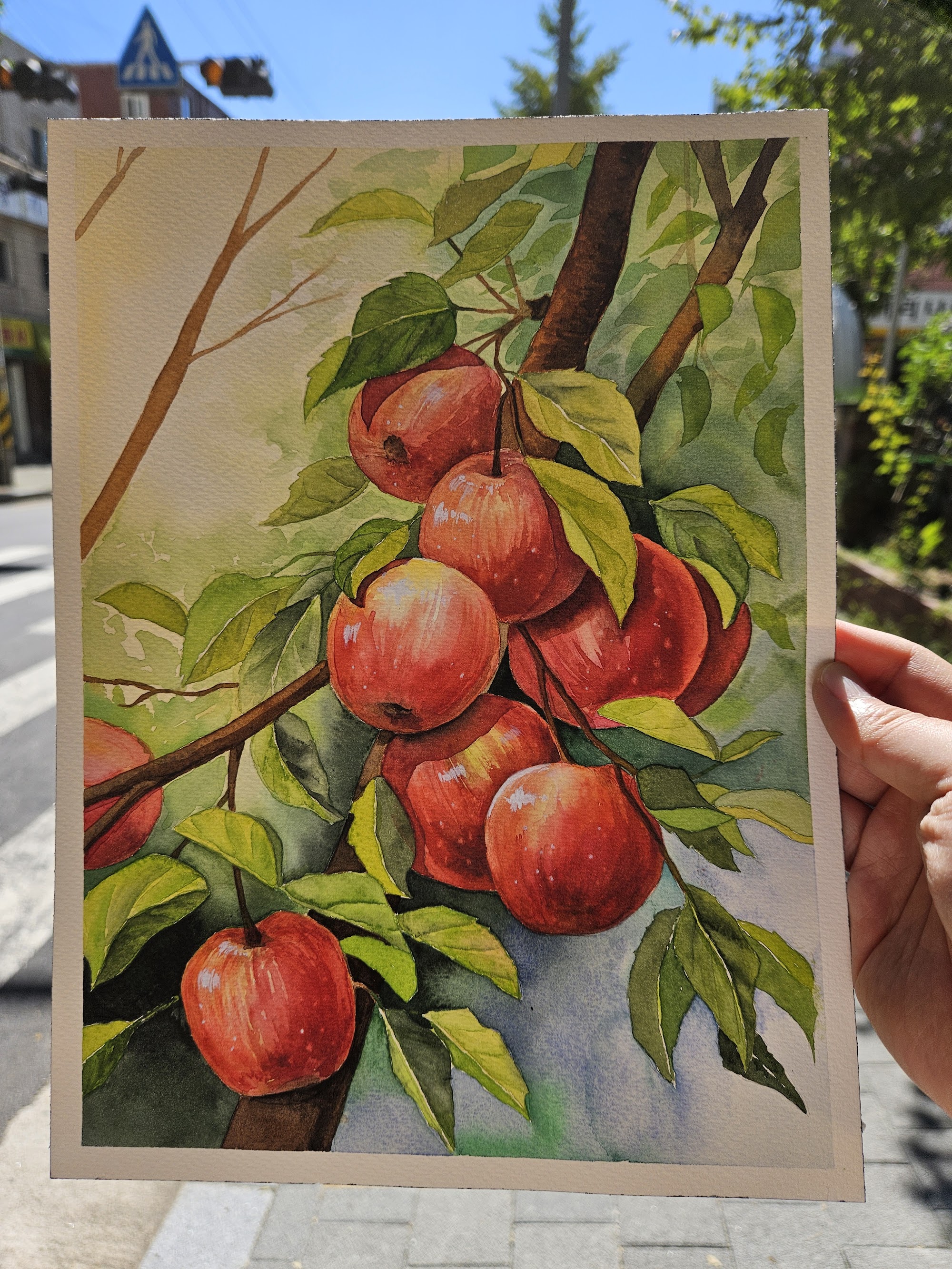 Apple Tree