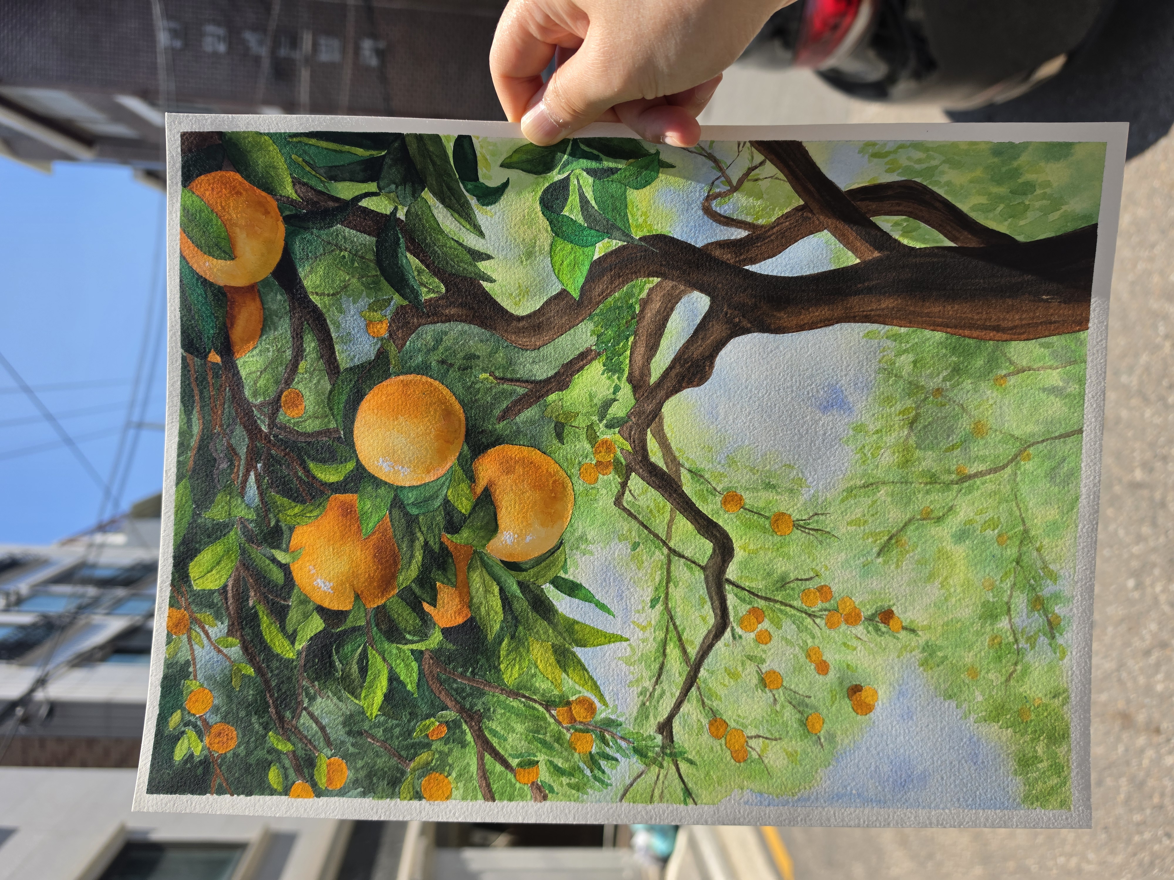 Paintings