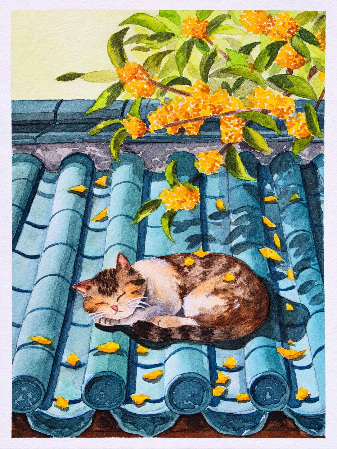 Sleeping Cat on the Tiled Roof